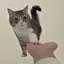 ウズメのプロフィール画像