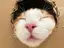 へむのプロフィール画像