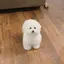 ぽきのプロフィール画像