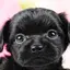 ともちゃんのプロフィール画像