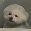 ひなのプロフィール画像