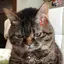 なつきのプロフィール画像