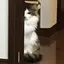 香代のプロフィール画像