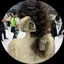minami(눈빛)のプロフィール画像