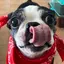 みーたろ。のプロフィール画像