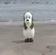 ナのプロフィール画像
