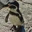 さちよのプロフィール画像