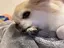あゆみのプロフィール画像