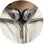 もじゃ子のプロフィール画像