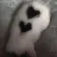 きちゃんのプロフィール画像