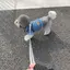 ゆうなのプロフィール画像