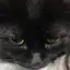 奏のプロフィール画像