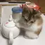 ののむらのプロフィール画像