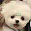 てぃのプロフィール画像