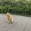 Tのプロフィール画像