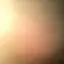 ハムたろのプロフィール画像