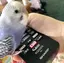 まめどりのプロフィール画像