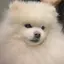 日美のプロフィール画像