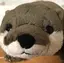 あい子のプロフィール画像