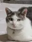 ぽんのプロフィール画像