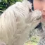 しえしえのプロフィール画像