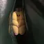 HINAKOのプロフィール画像