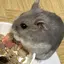 なのプロフィール画像