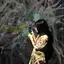 いとのプロフィール画像