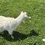 hyのプロフィール画像
