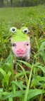 ゆのプロフィール画像