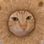 ちのプロフィール画像