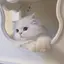 aのプロフィール画像