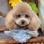 suuのプロフィール画像