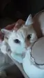 アリーのプロフィール画像