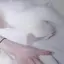 あのプロフィール画像