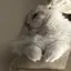 あんのプロフィール画像