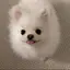 Rのプロフィール画像