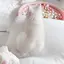 Kのプロフィール画像