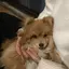 ぽんちょのプロフィール画像