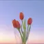 えりいのプロフィール画像