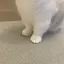 ゅのプロフィール画像