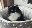 Tsukiのプロフィール画像
