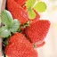 いちご🍓のプロフィール画像