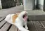 さきのプロフィール画像
