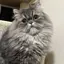 みくのプロフィール画像