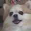 新海のプロフィール画像