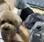 eriのプロフィール画像