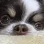 みみみのプロフィール画像