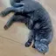 かのプロフィール画像