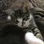 kiのプロフィール画像